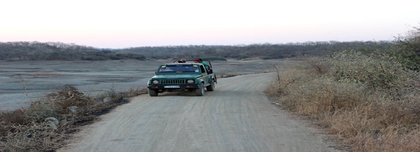 Jeep Safari