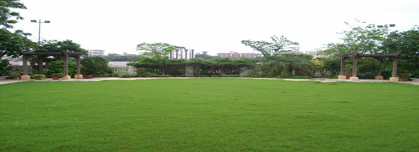 Lawn 