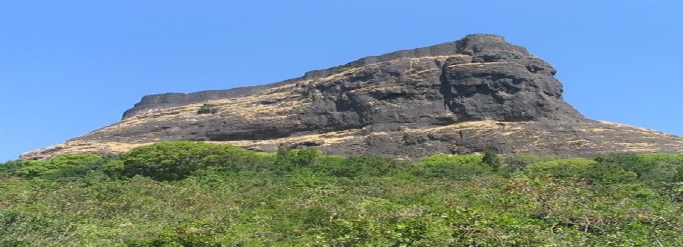 Shrivardhan Fort