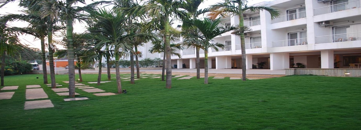 Lawn