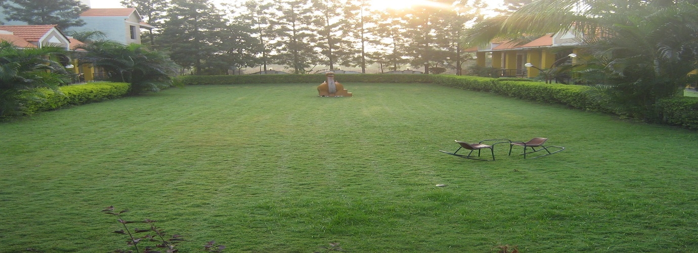 Lawn 