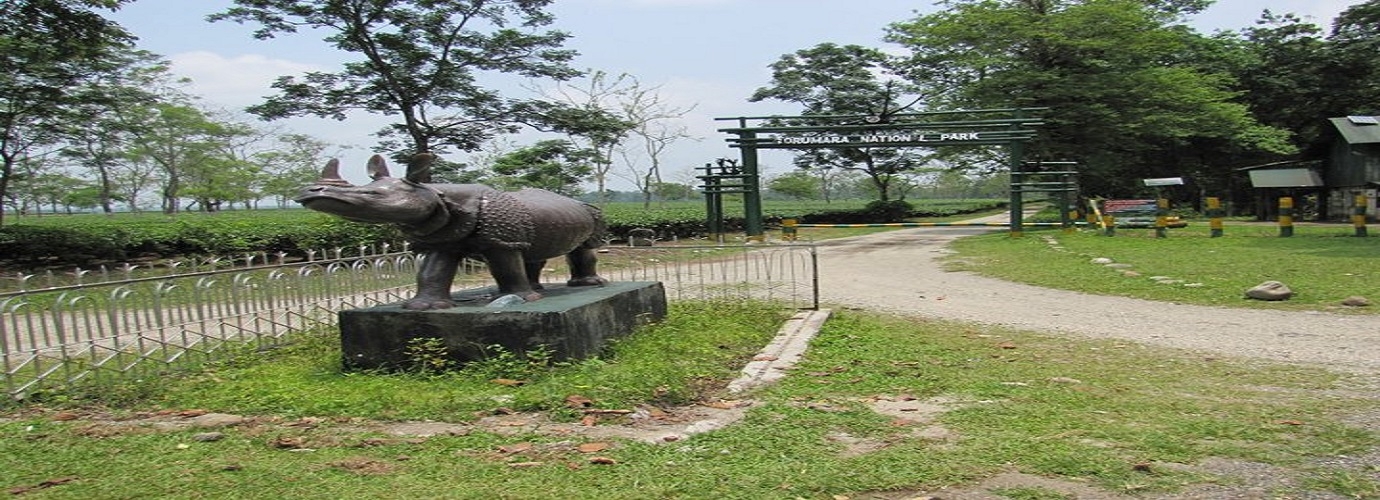 Gorumara National Park Entry, Lataguri