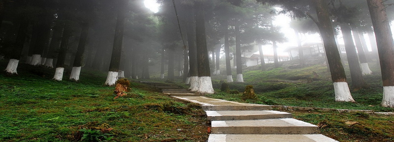 Lava, Darjeeling