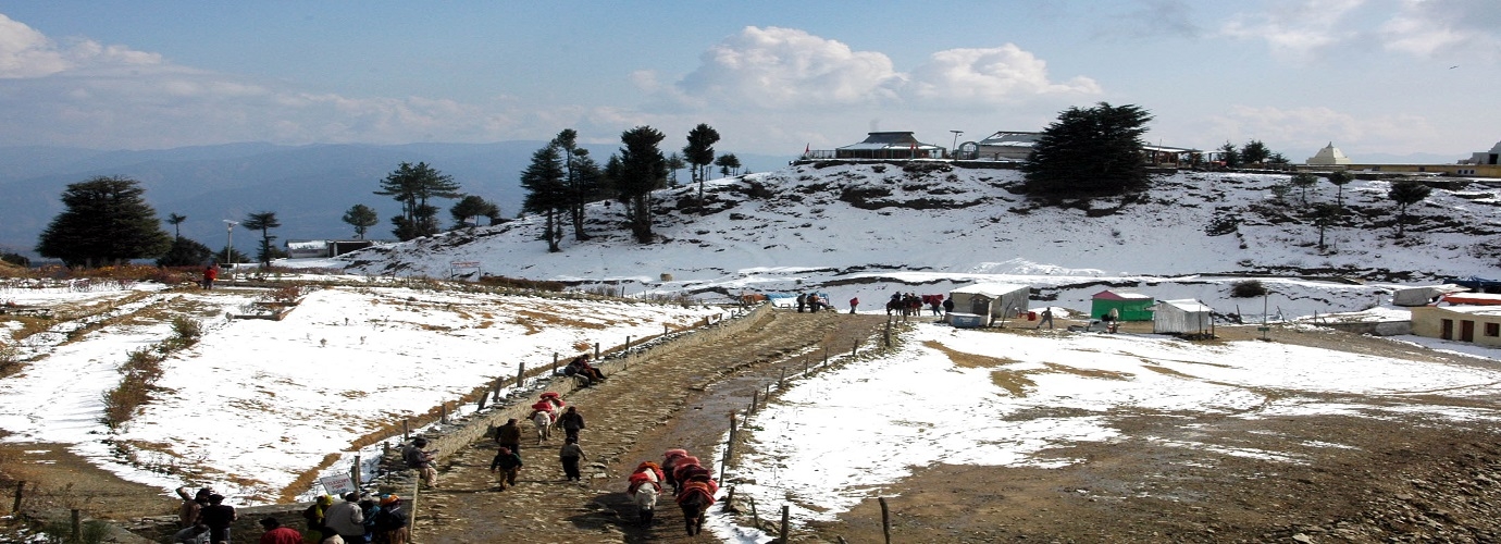 Kufri, Shimla