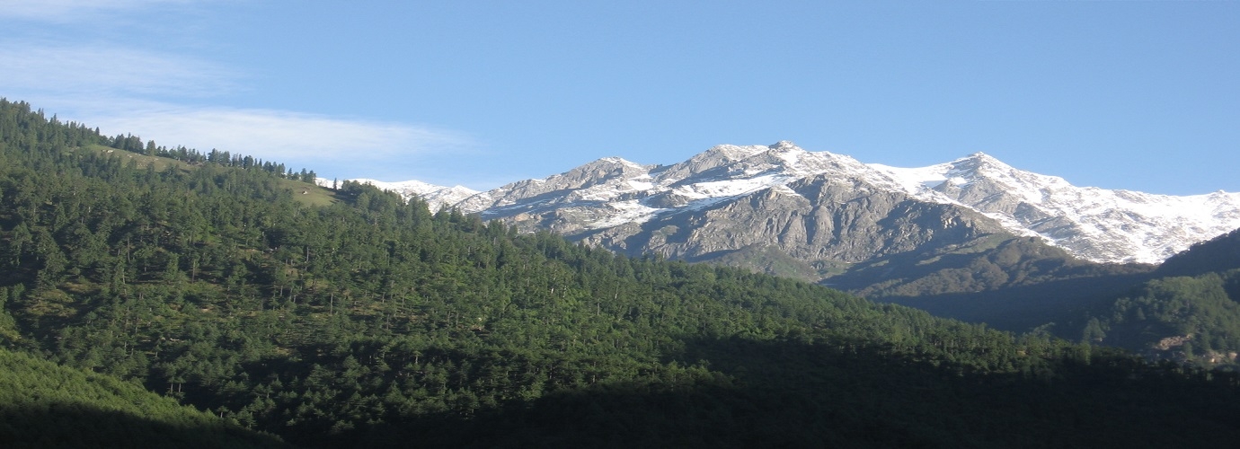 Manali