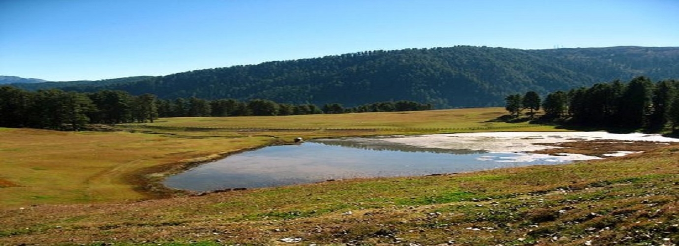 Sanasar Lake Patnitop