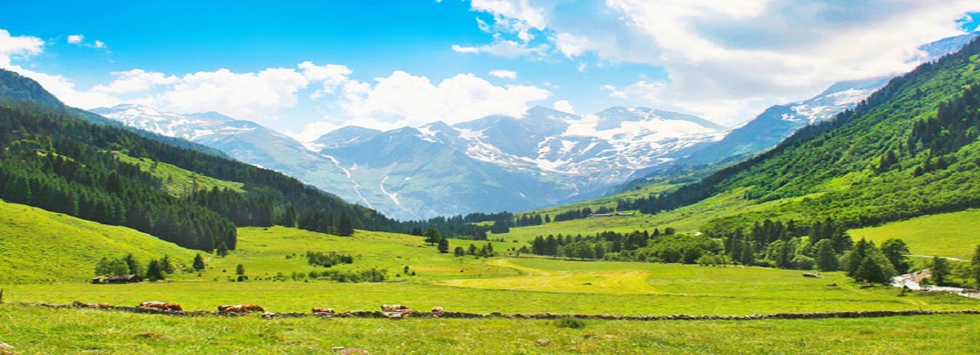 Betaab Valley Pahalgam