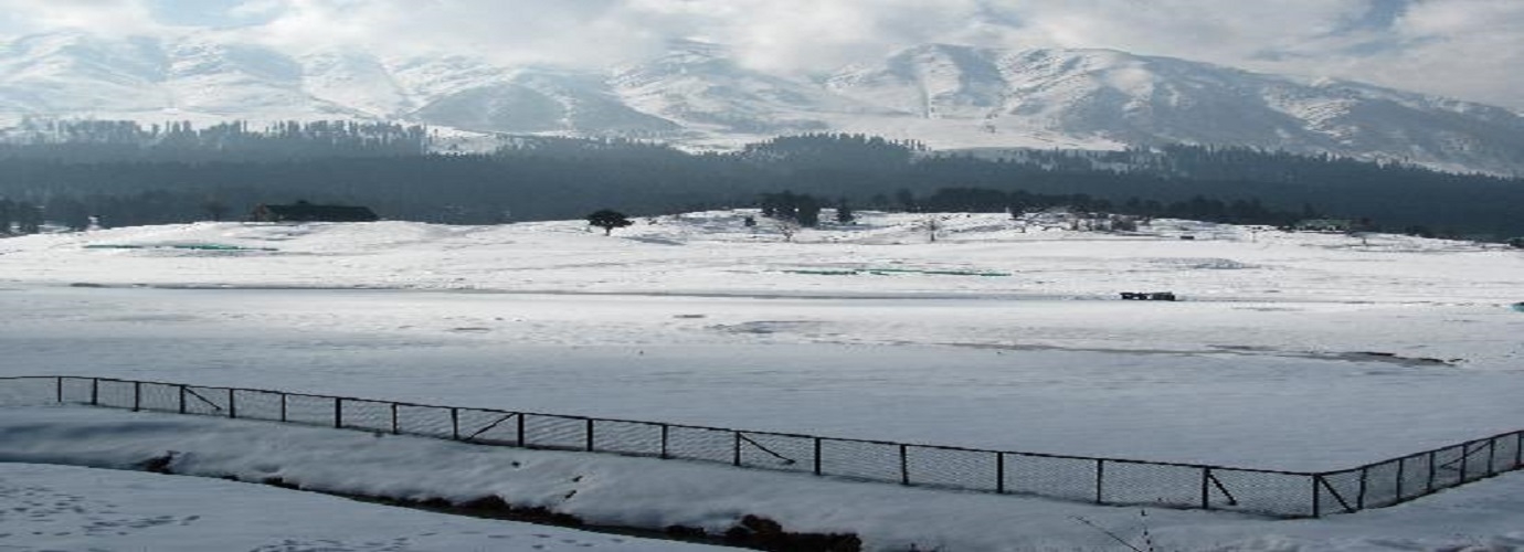 Gulmarg Alpine Guides