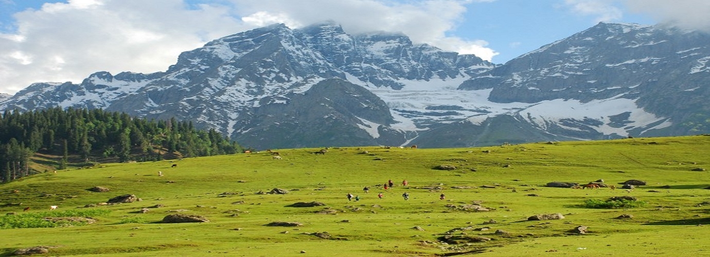 Thajiwas Mountain Sonamarg