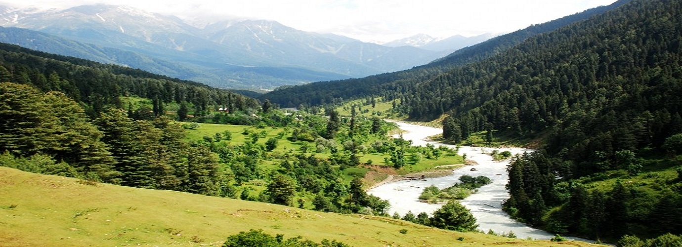 Lidder River Pahalgam