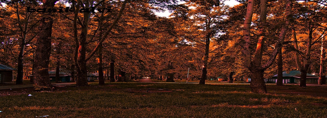 Nasim Bagh Srinagar