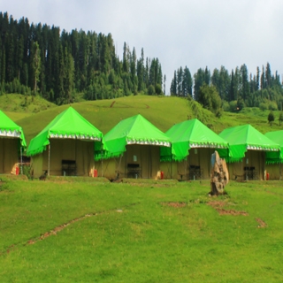 Gulmarg Meadows