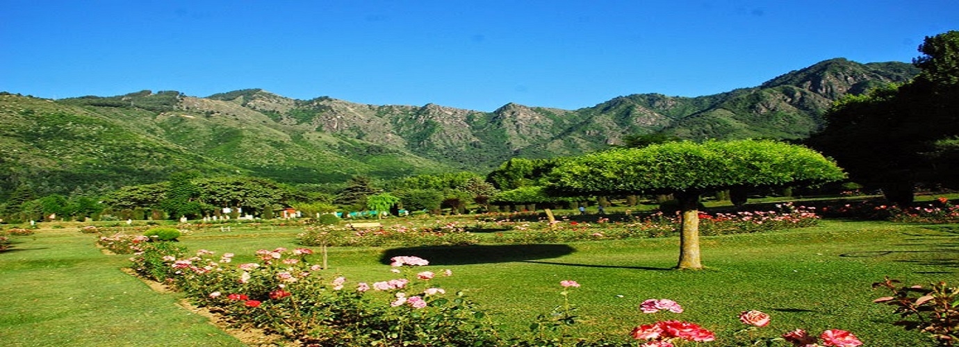 Jawaharlal Nehru Memorial Botanical Gardens