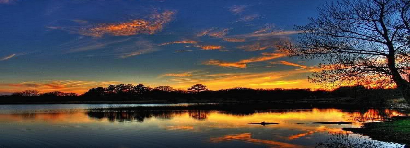 Dal Lake Evening View