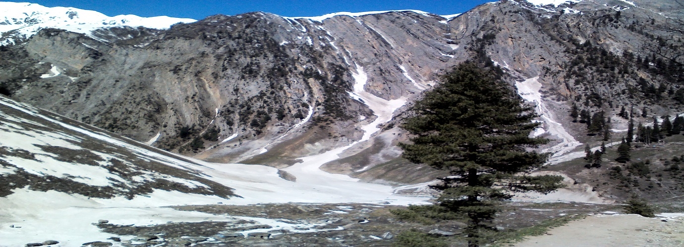 Baltal Valley