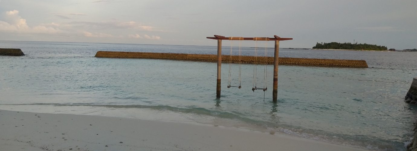 Beach Swing