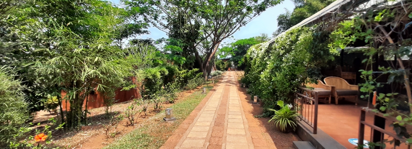 Pathways covered with Greenery