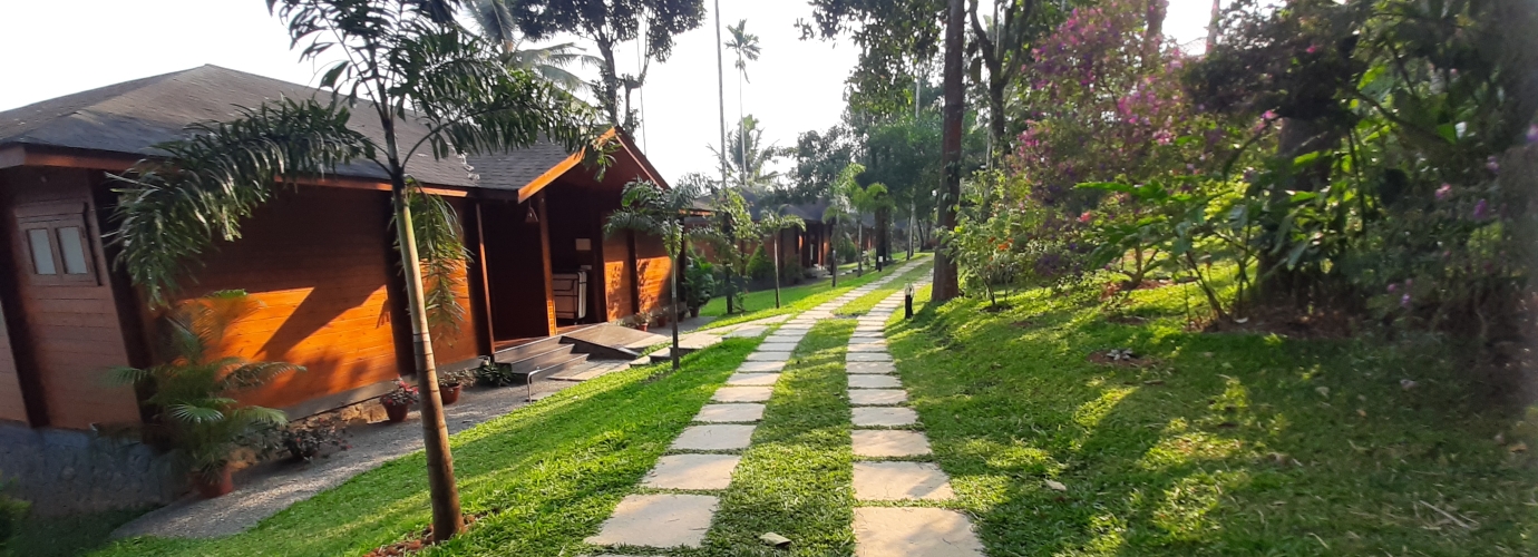 Lush Green Pathways