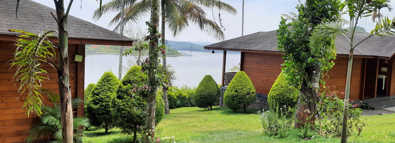 Cottages Overlooking the Lake