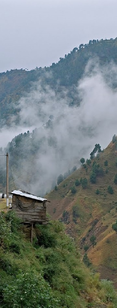 Kasauli