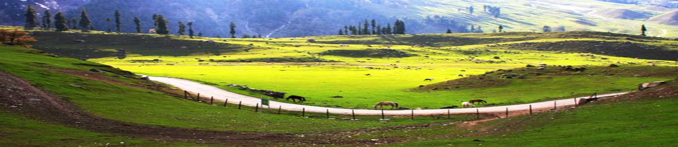 It's Kashmir, It's For You (Srinagar 2N - Pahalgam 2N - Gulmarg 1N - Sonamarg 1N)